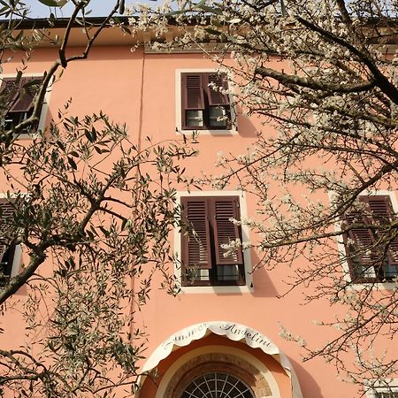 Angelini Dal 1911 Hotel Lucca Ngoại thất bức ảnh